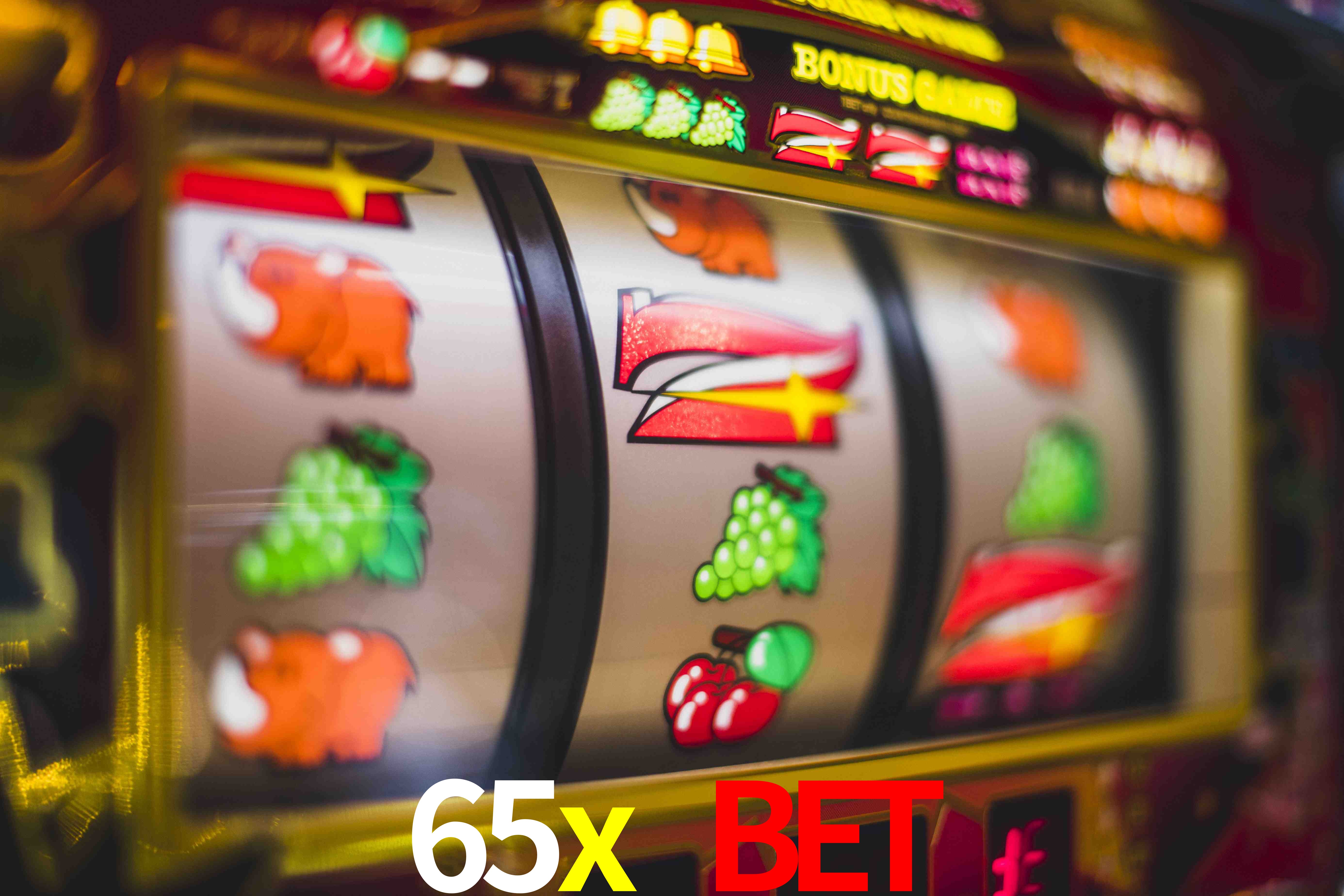 Sports Statistics 65x bet